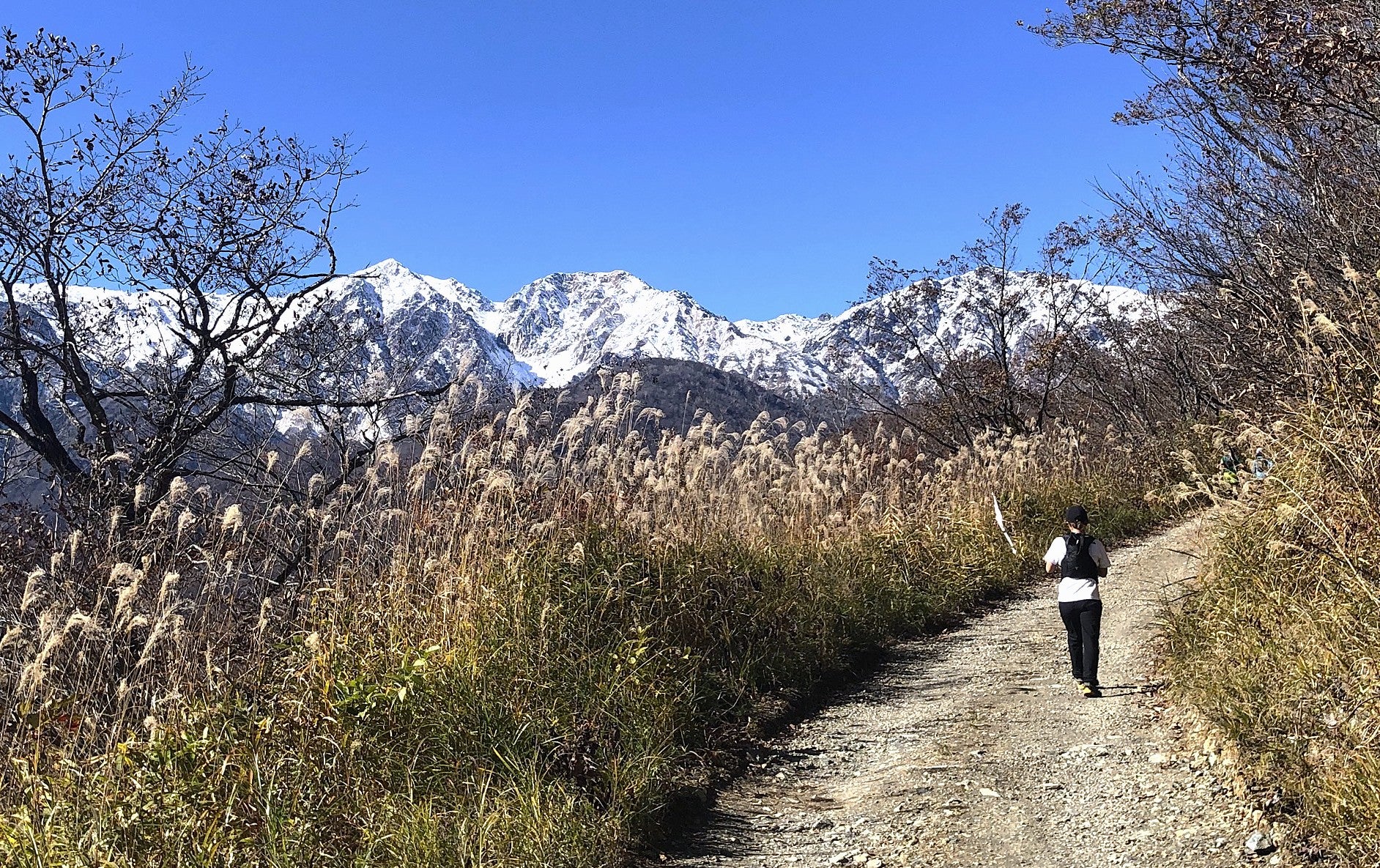 【Race Report】白馬岩岳 Trail Race by GONTEX