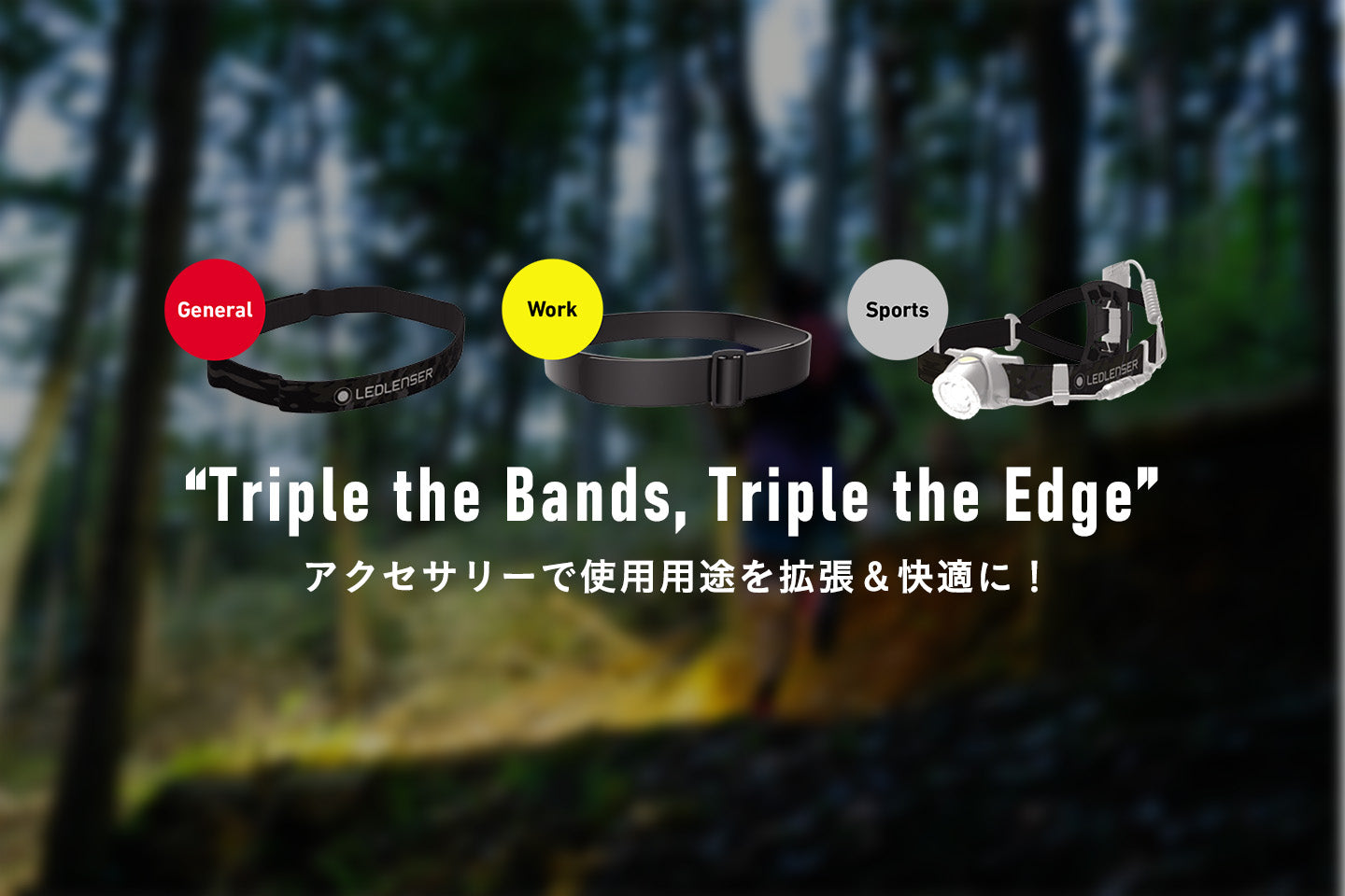 H8R 日本限定モデルの特徴とは?