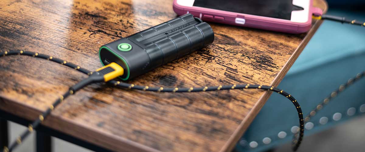レッドレンザー 充電器の通販