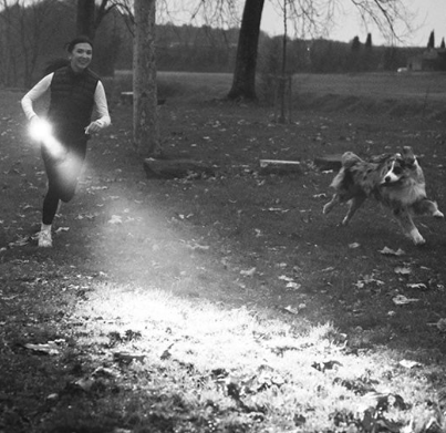 P5R 第四世代 完成の域に達した会心の名作コンパクトライト