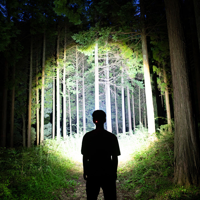 H8R SE 伝説の名作が復活!大定番 × 18650型 充電池【上田瑠偉プロ、小川壮太プロ、白川裕登選手 愛用モデル】