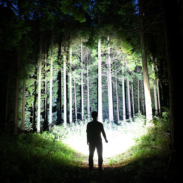 2026 新春特別企画 第三弾 キーライト付き!「P7R SE」: 18650型 充電池/ 乾電池=両方OK!