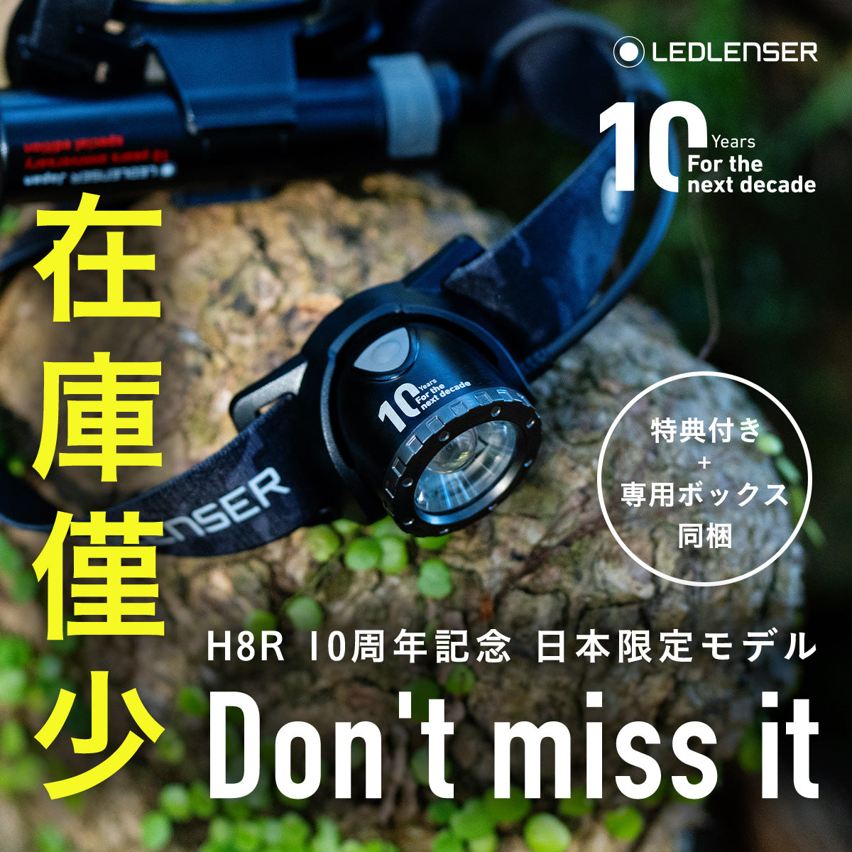 【公式WebShop限定 先行発売】H8R 日本限定モデル 🎌レッドレンザージャパン設立10周年記念 特別仕様